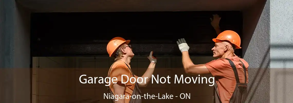 Garage Door Not Moving Niagara-on-the-Lake - ON