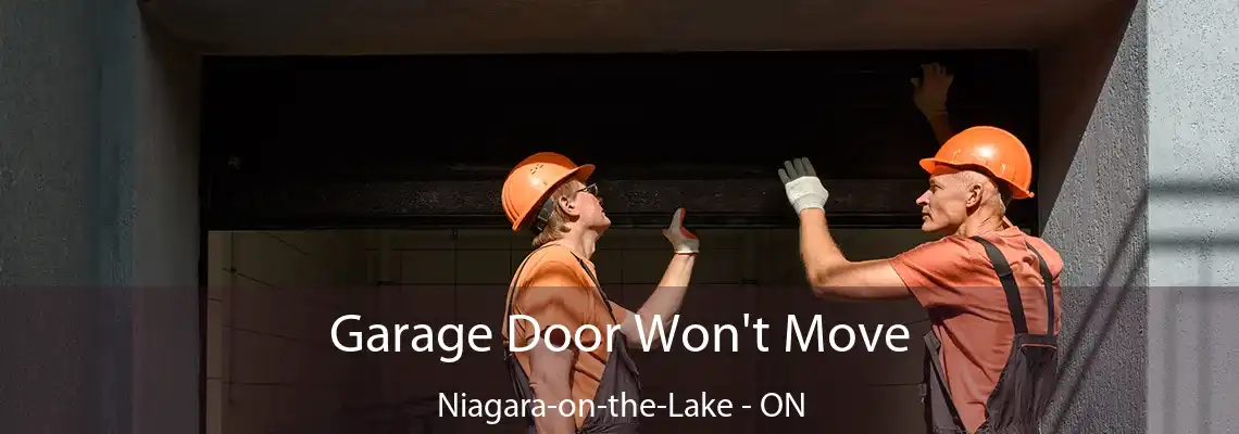 Garage Door Won't Move Niagara-on-the-Lake - ON